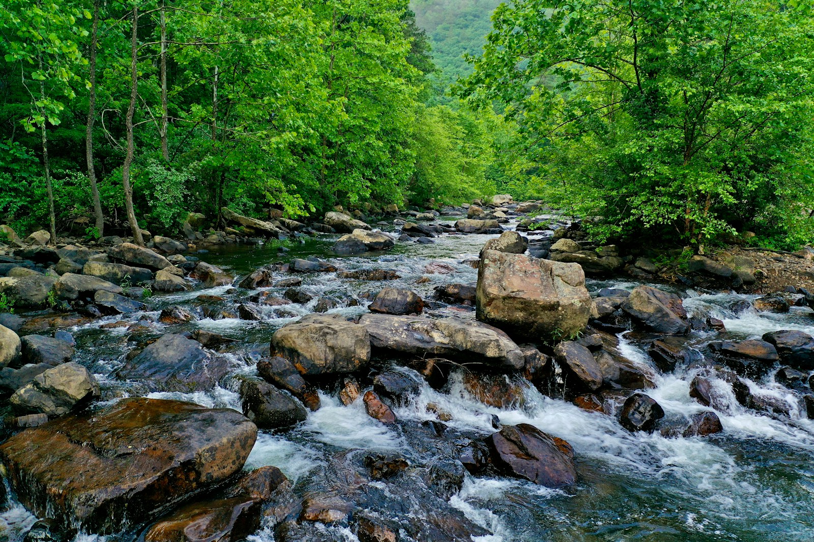 gray rocks on river during daytime